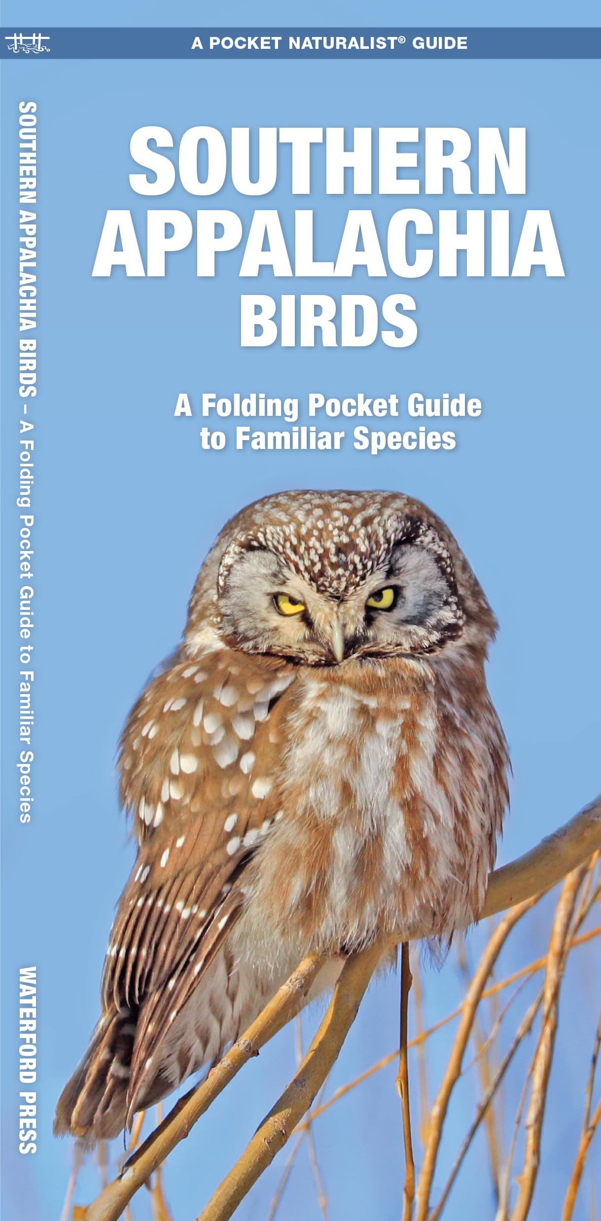 Southern Appalachian Birds Guide: Familiar Species Identification & Nature Observation in North America - Perfect for Birdwatching, Hiking & Outdoor Adventures