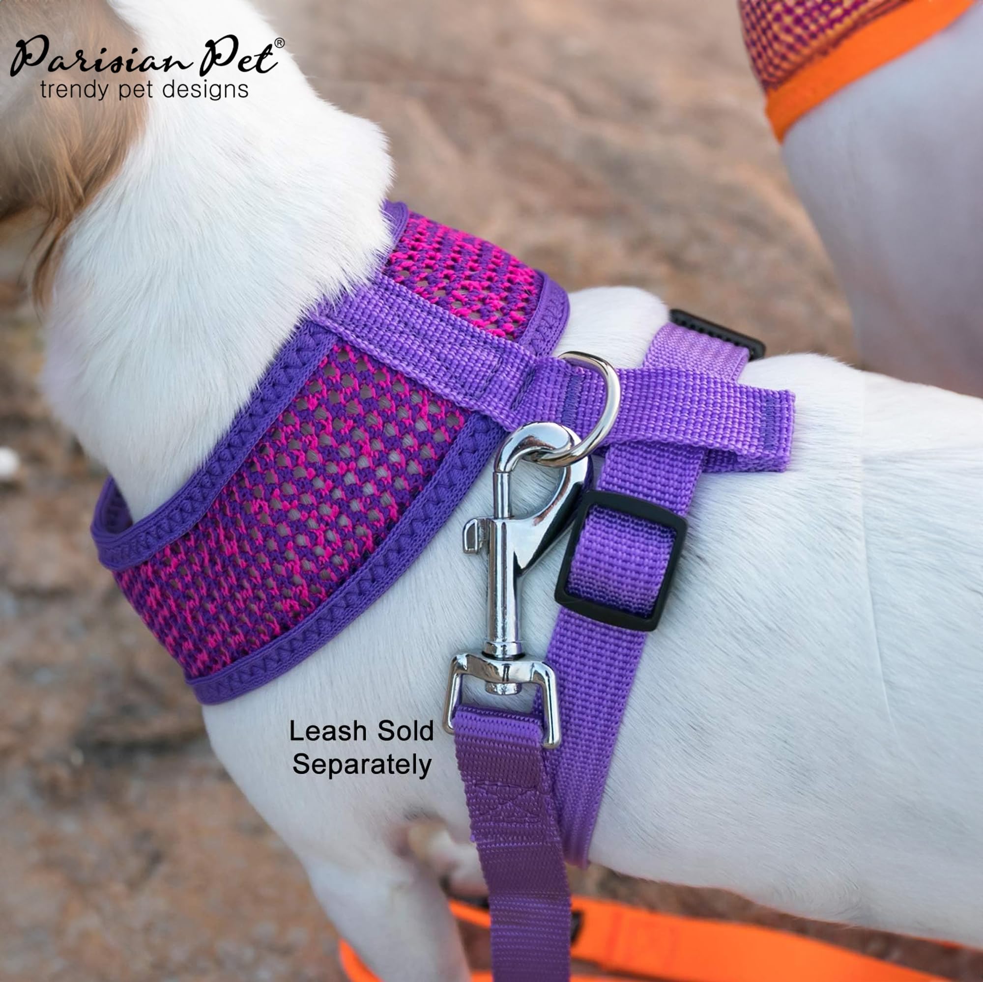 Parisian Pet Girl Dog Harness - Soft Padded Purple/Pink Mesh Vest for Small Dogs - Breathable & Cooling Dog Harness for Walking, Running, Hiking - Adjustable Puppy Harness XS - Perfect for Outdoor Adventures & Summer Activities