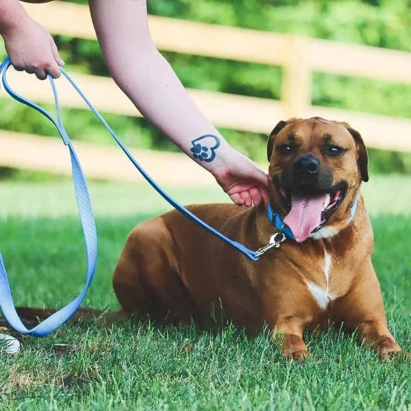 Premium Double Ply Nylon Dog Leash - Heavy Duty Reflective Pet Walking Lead for Medium to Large Dogs - Perfect for Outdoor Adventures, Night Walks & Training Sessions