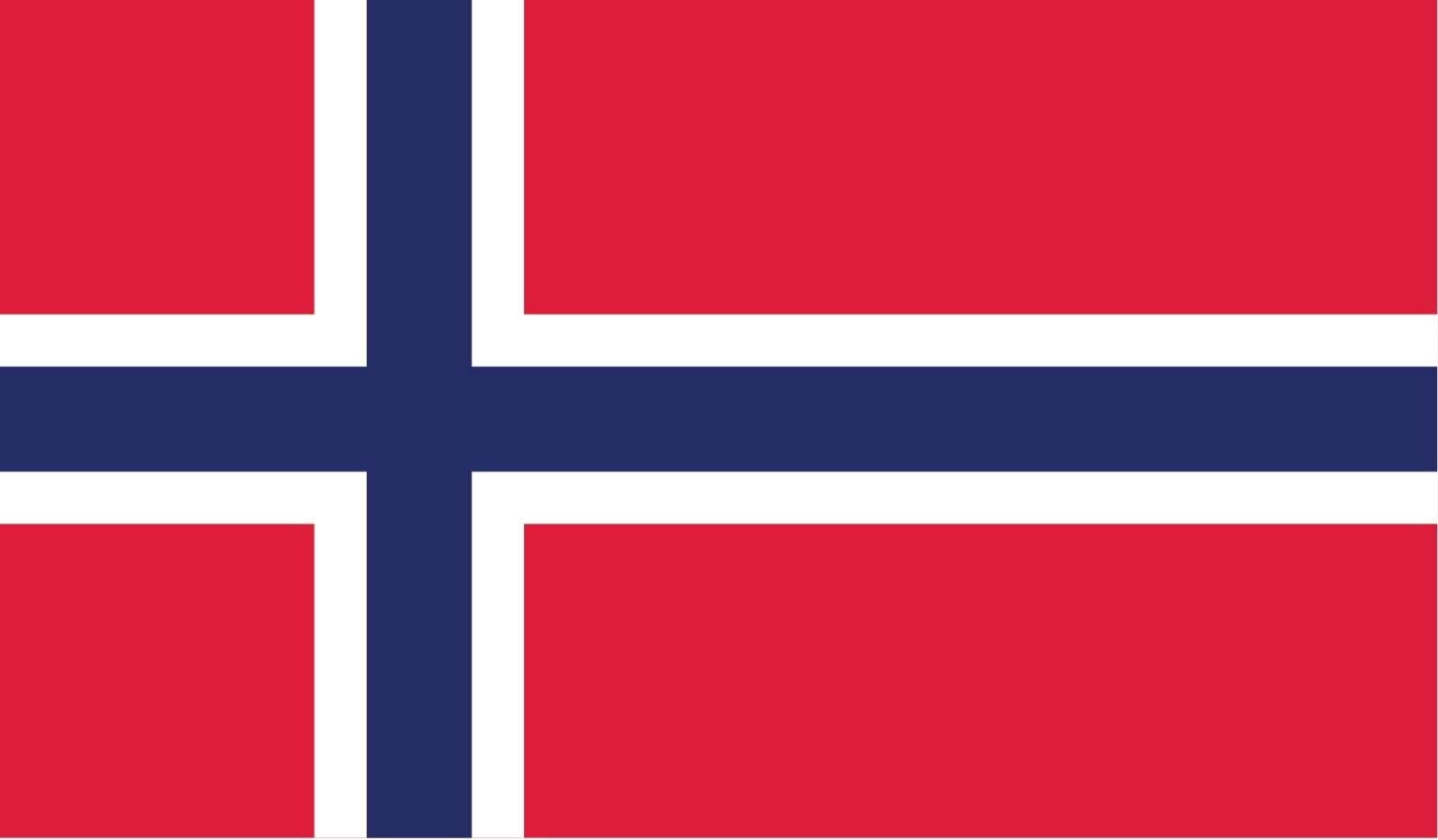 Double Sided Norway Flag Stainless Steel Keychain - Durable Key Ring Holder with Carabiner Clip for Keys, Backpacks & Travel Accessories | Perfect Gift for Travel Enthusiasts