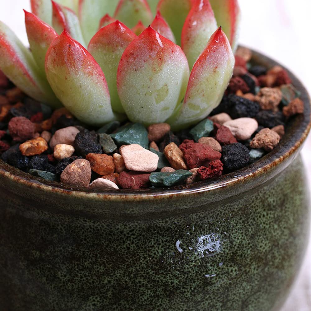 2.2lbs Horticultural Lava Rock Mix - Premium Bonsai, Succulent & Cactus Potting Soil with Volcanic Rock | Fast-Draining Gritty Decorative Gravel for Plant Drainage, Vase Fillers, Terrariums & Fairy Gardens | Ideal for Indoor/Outdoor Plants, DIY Gardening Projects & Landscape Design