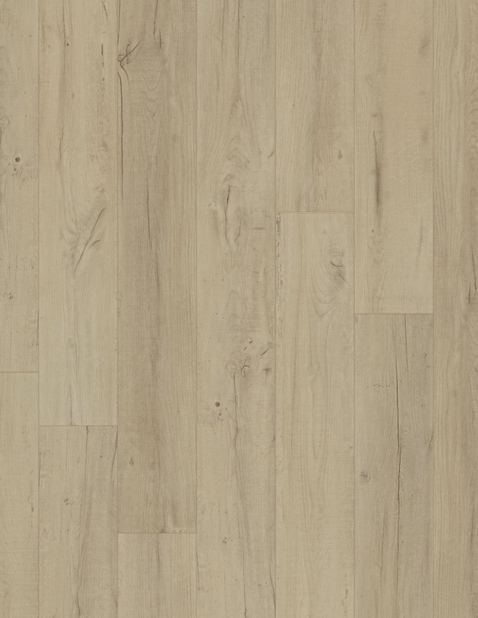 Coretec Plus Premium Luxury Vinyl Plank Flooring - Noble Oak 7
