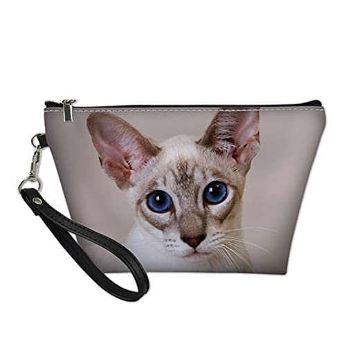 Siamese Cat