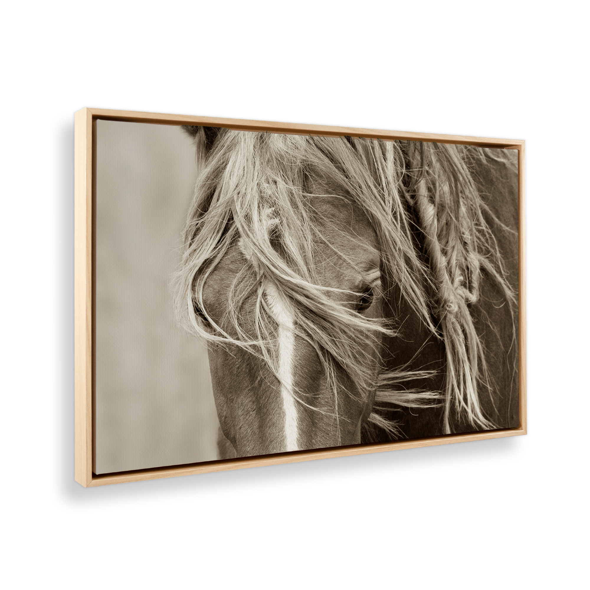 Graceful Majesty on Canvas - Elegant Wall Art for Living Room, Bedroom & Office Decor | Premium Hand-Painted Canvas Prints
