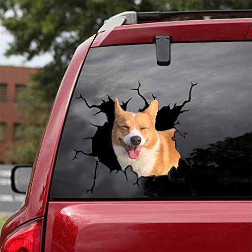 Corgi-01