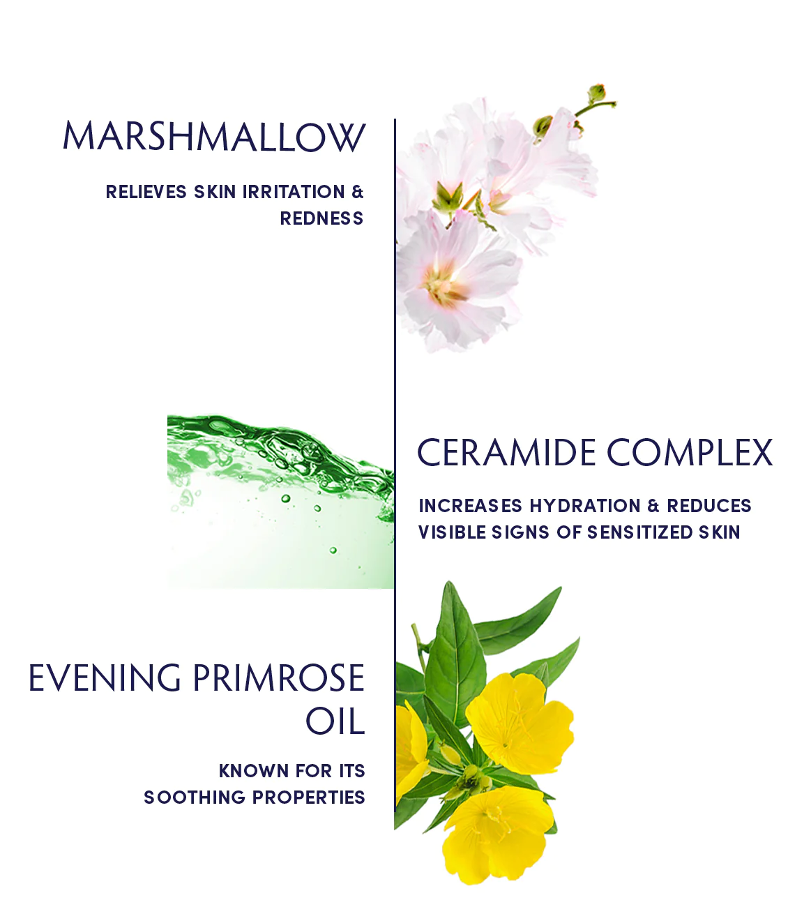 Naturopathica Marshmallow & Ceramide Sensitive Skin Soothing Serum - Calming Facial Treatment for Dry, Irritated Skin - Perfect for Daily Skincare Routine & Post-Procedure Recovery