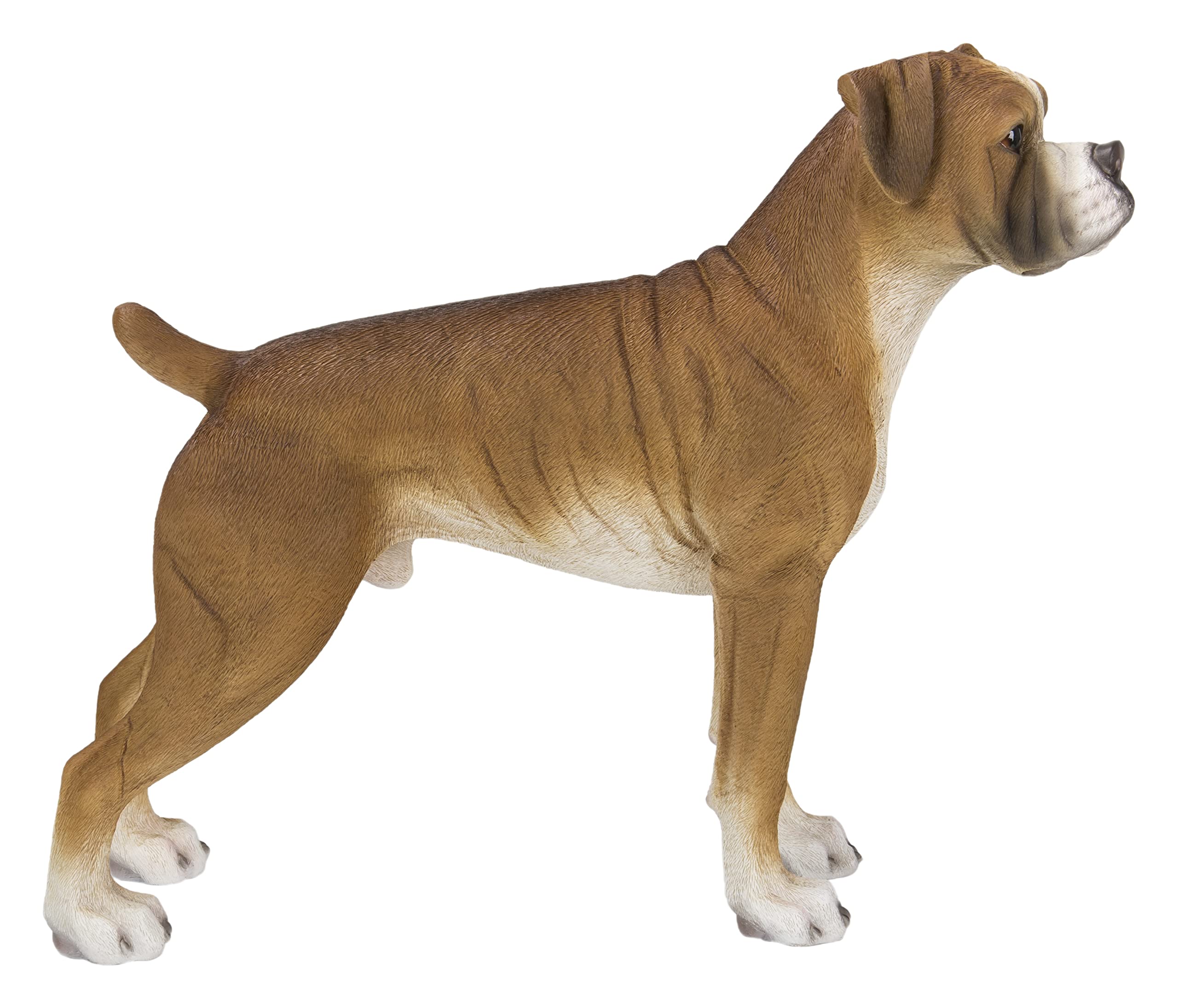 Hi-Line Gift Box - Premium Standing Boxer Dog Figurine for Home Decor, Office Desk, and Gift Giving