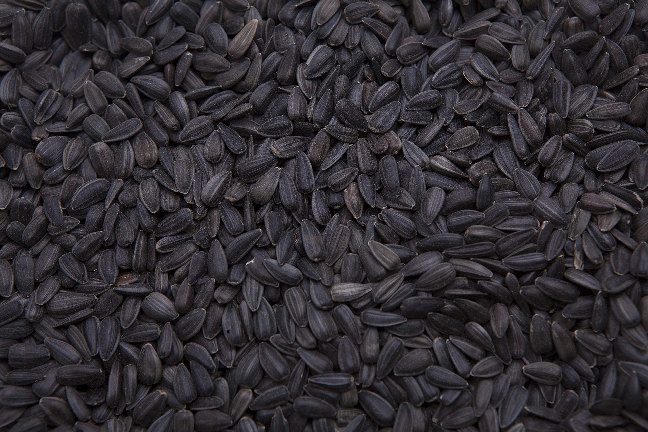 Premium Black Oil Sunflower Seeds for Birds - High Energy Wild Bird Food (7.00 lb) - Perfect for Backyard Feeders, Wildlife Attraction & Year-Round Bird Watching