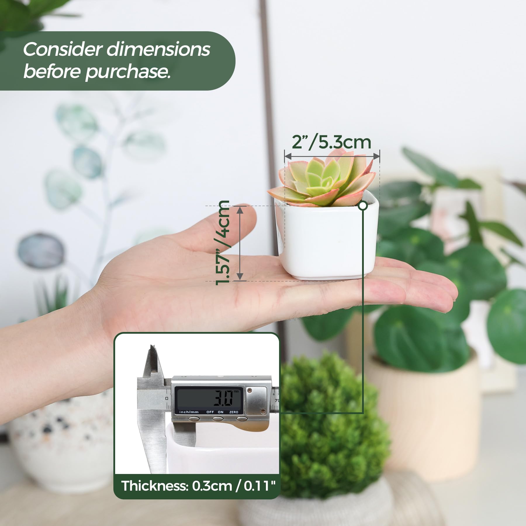 T4U 2 Inch Small White Ceramic Succulent Planter Pots with Bamboo Tray - Set of 6 Square Cactus & Air Plant Containers - Perfect for Home Office Decor, Housewarming Gifts for Women & Coworkers (Ideal for Windowsills, Desktops & Shelf Displays)
