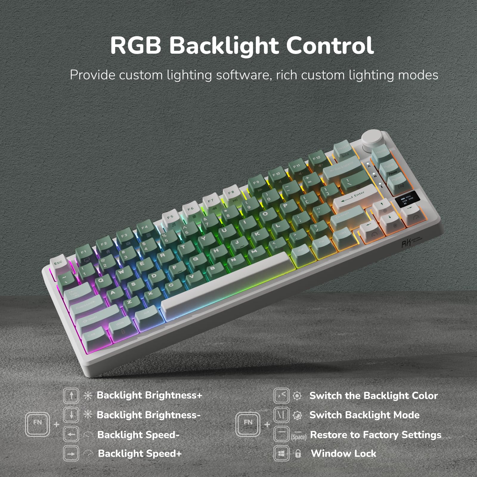 RK ROYAL KLUDGE M75 Wireless Mechanical Gaming Keyboard - 2.4Ghz/BT5.1/USB-C, 75% Compact Layout (81 Keys), Gasket Mount, OLED Display & Control Knob, RGB Backlit, Hot-Swappable Pale Green Switches - Perfect for PC Gaming, Office Work, and Typing Enthusiasts