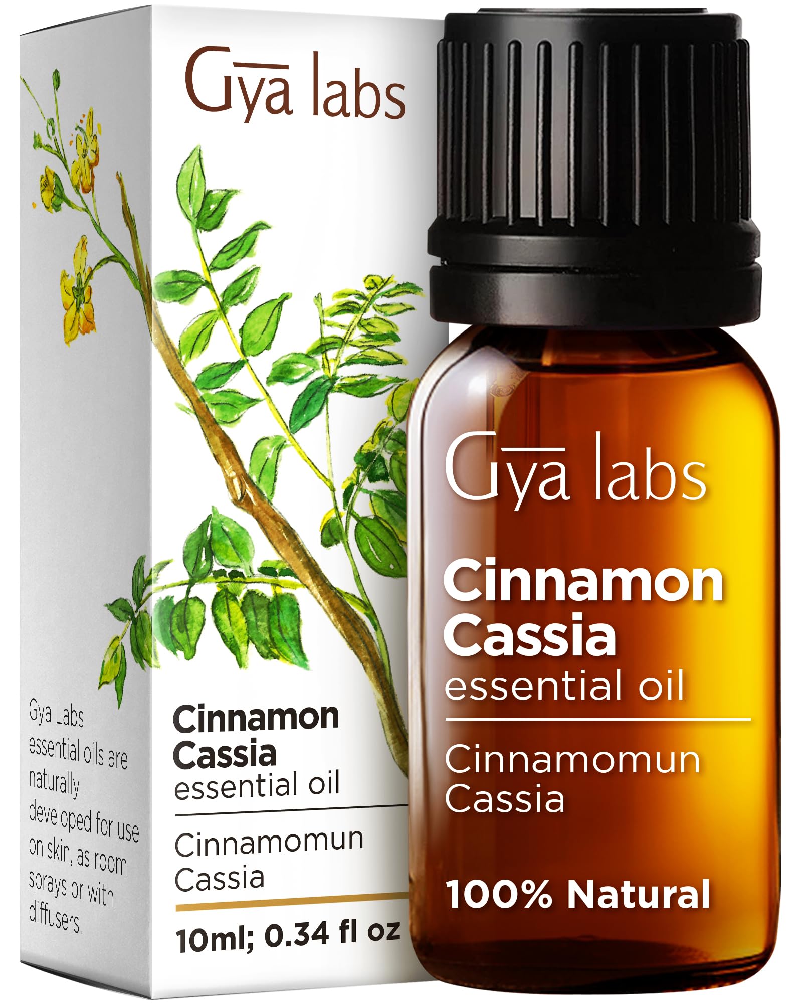 100% Pure Cassia Oil for Hair Growth & Cinnamon Essential Oil for Diffusers - Natural Aromatherapy Set (2x10ml) by Gya Labs - Perfect for Relaxation, Massage & Home Scenting