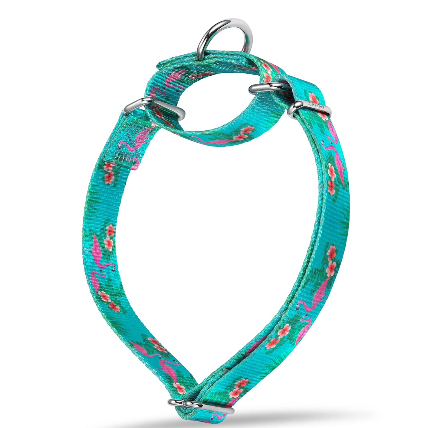 Martingale Dog Collar with Forest Animal Pattern - Silky Soft & Sturdy for Medium & Large Dogs (5/8