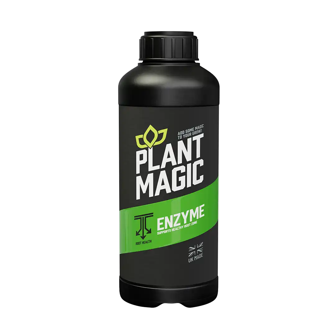 Organic Plant Magic Enzyme Powder - Natural Digestive Aid & Detox Supplement for Gut Health - Perfect for Smoothies, Juices & Wellness Drinks