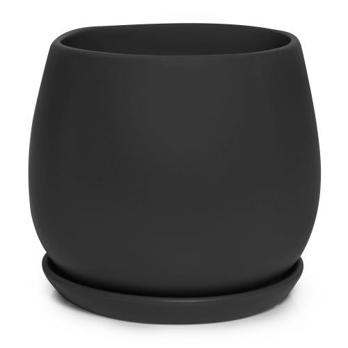 Black Egg Pot with Saucer - Perfect for Breakfast Serving, Kitchen Decor & Gift Ideas