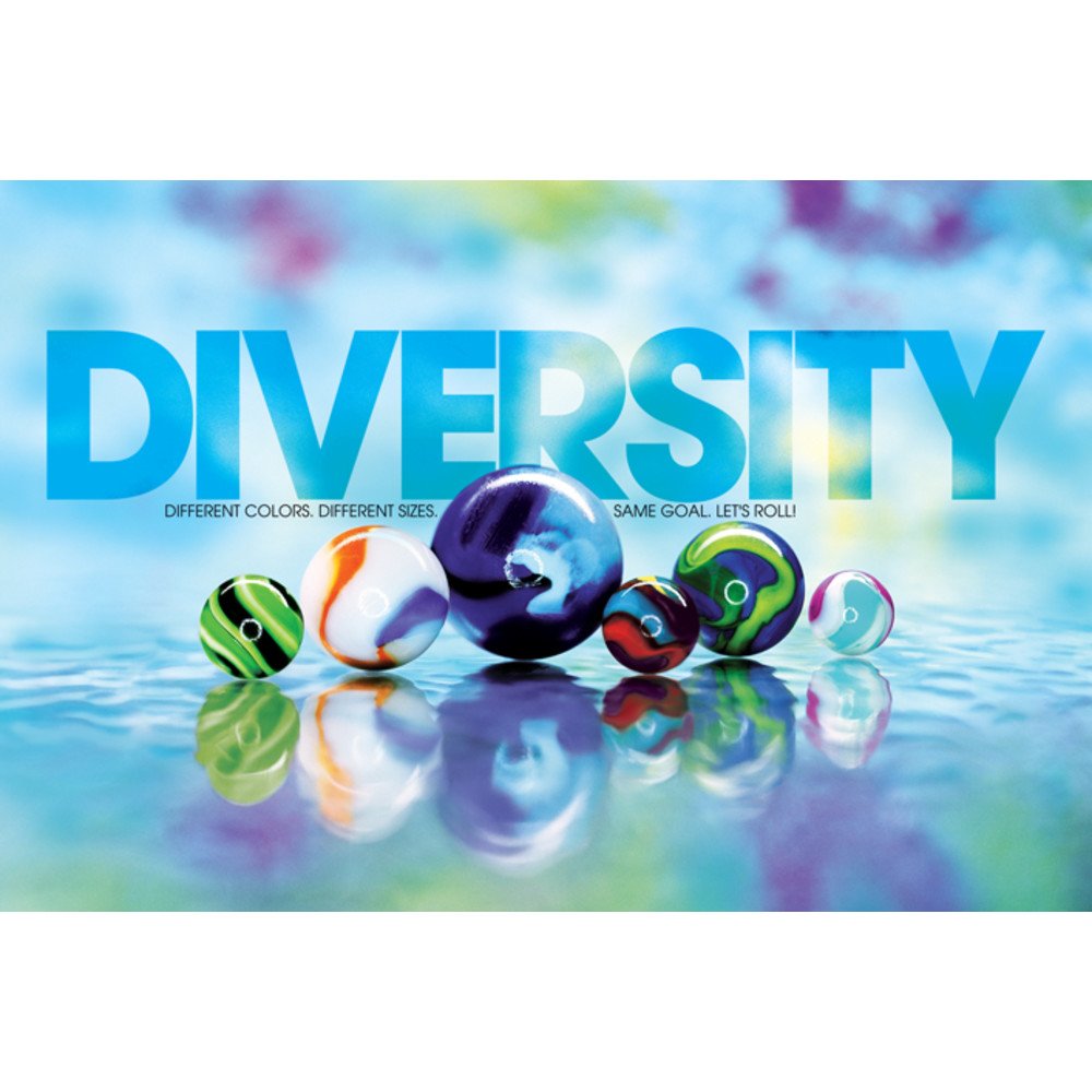 Successories Modern Motivational Wall Decal - Diversity Marbles Vinyl Sticker (60x40.25 inches) - Inspirational Office & Home Decor for Workplaces, Living Rooms & Classrooms
