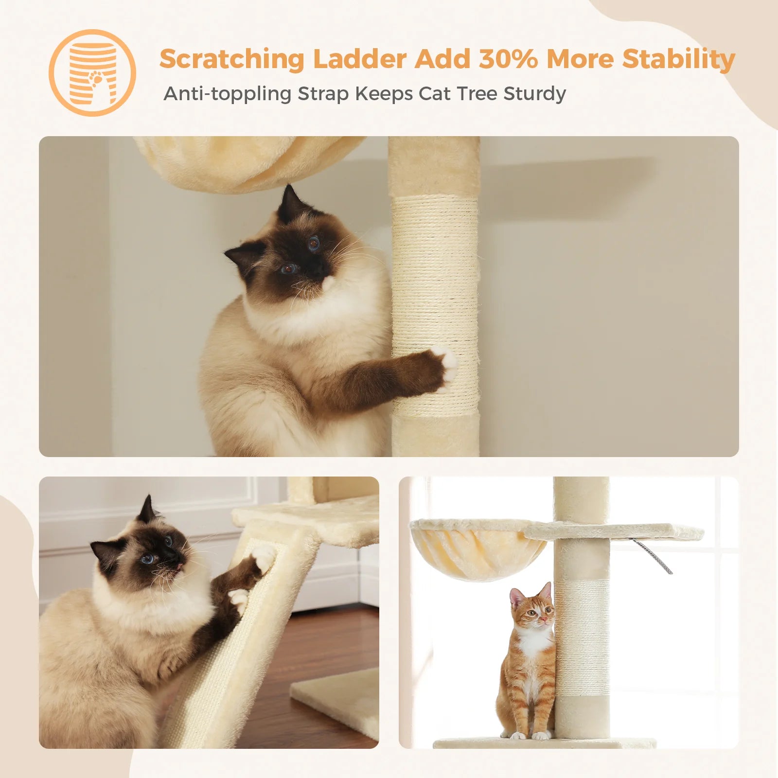 Premium Cat Scratcher & Condo Bed - Ceiling High Cat Tree with Scratching Posts & Cozy Perch, Beige | Perfect for Indoor Cats, Small Spaces & Multi-Cat Homes