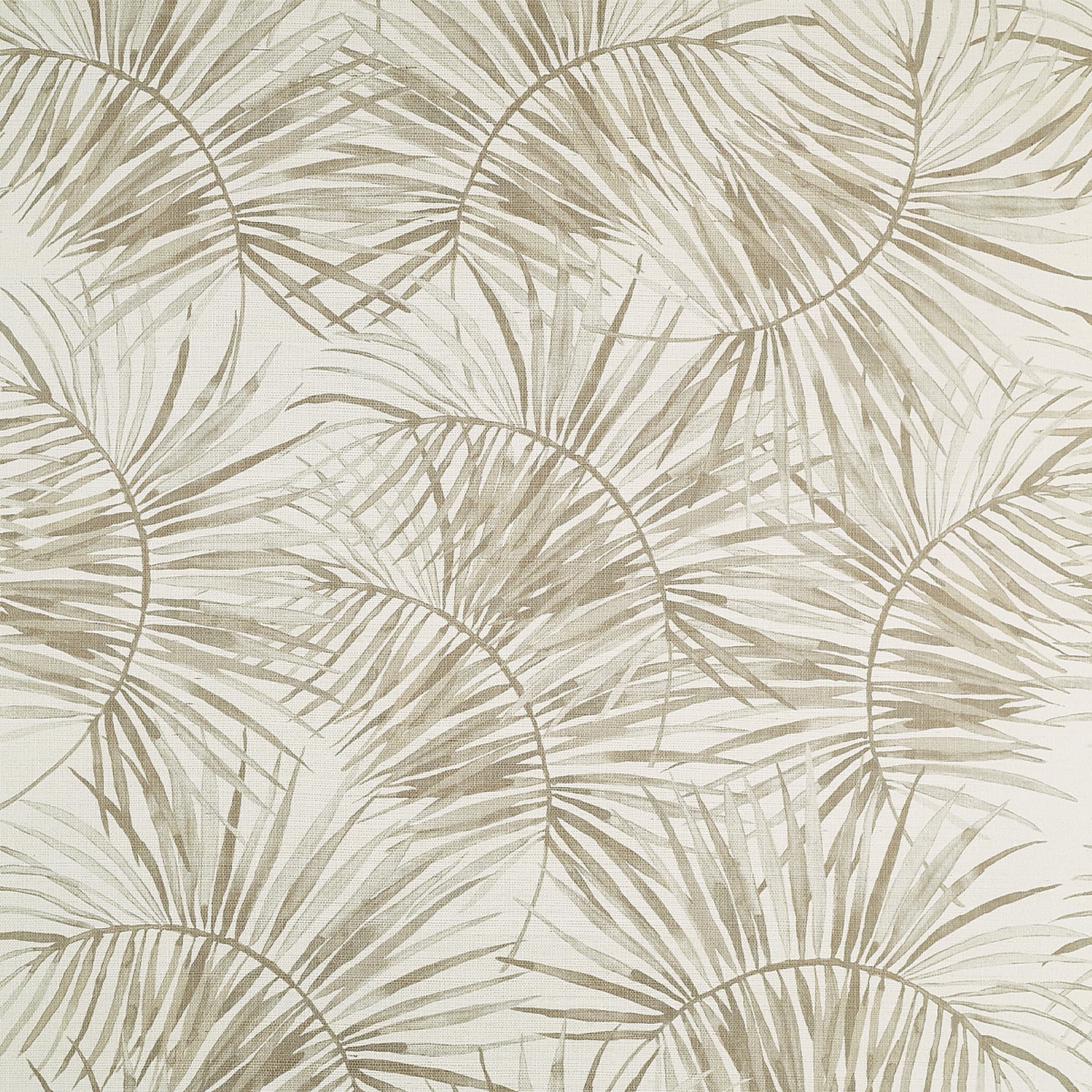 Phillip Jeffries Island Time Palm Shadow Wallpaper - Tropical Botanical Design for Coastal & Beach House Decor - Perfect for Living Rooms, Bedrooms, and Bathrooms