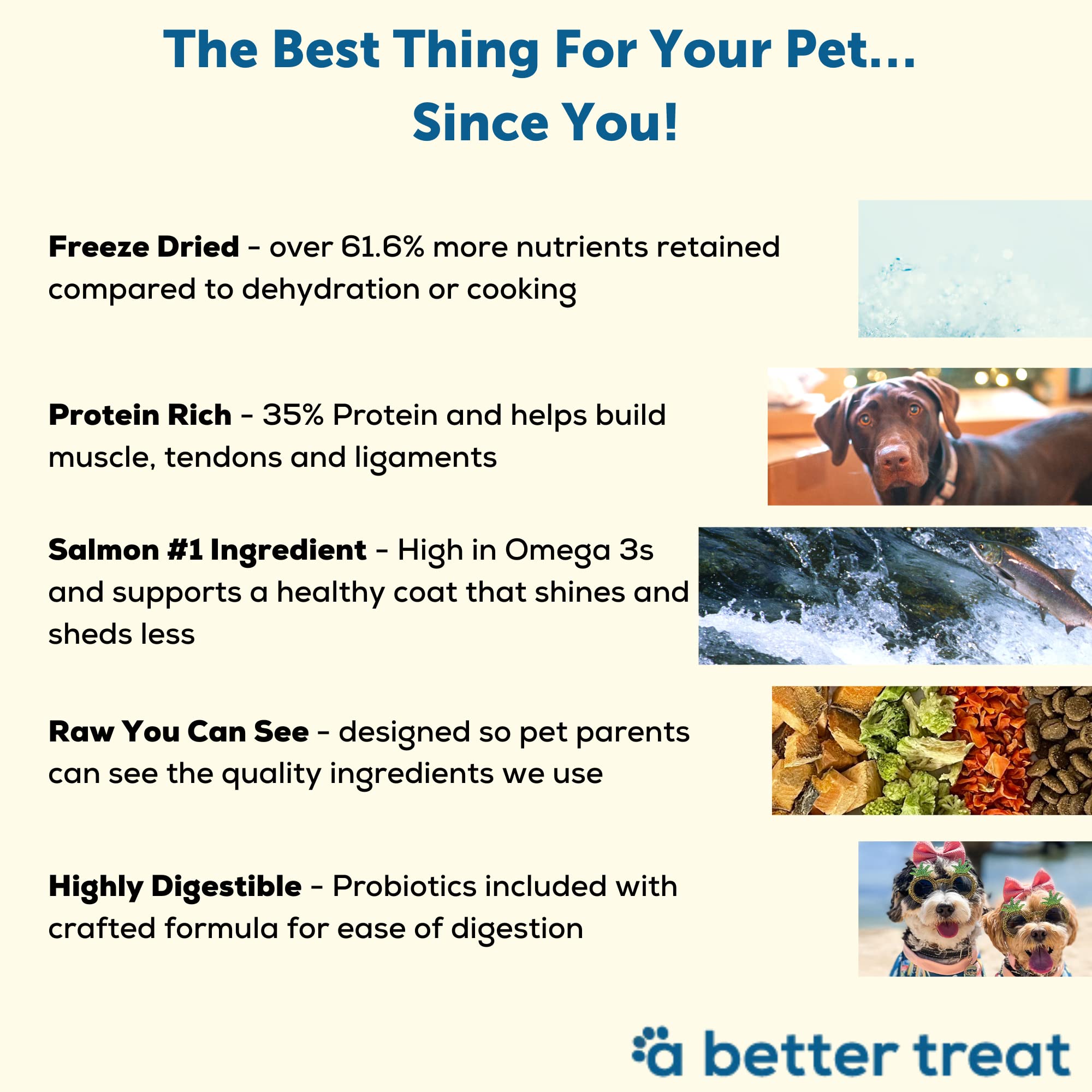 Premium Salmon Dry Dog Food for Dogs - High Protein Kibble with Freeze-Dried Raw Pieces | Grain-Free, All-Natural Nutrition for Adult & Senior Dogs | Perfect for Active Pets, Sensitive Stomachs & Picky Eaters | Indoor & Outdoor Feeding