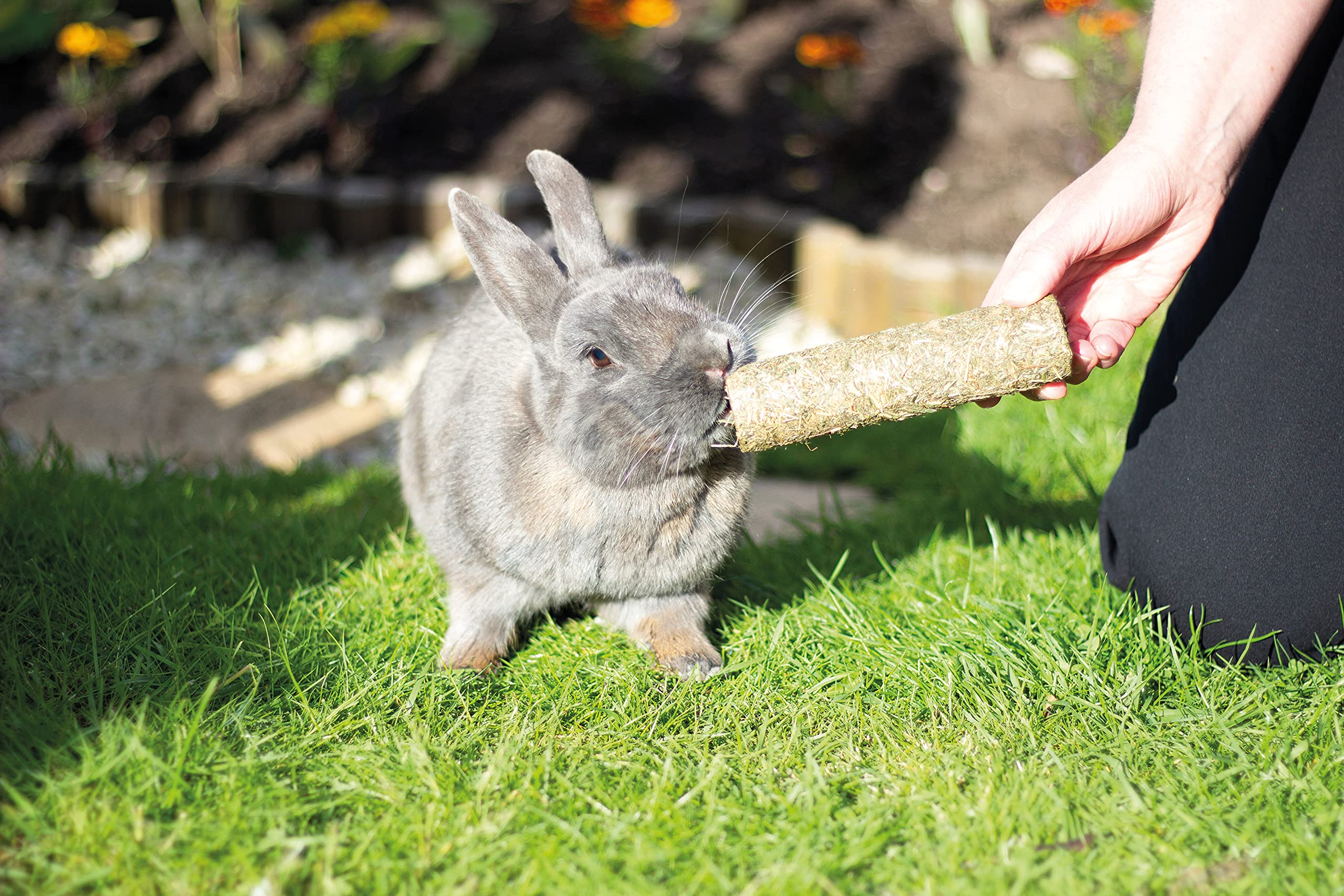 Rosewood Naturals Pea 'n' Mint Rollers - Healthy Small Animal Treats for Rabbits, Guinea Pigs, Chinchillas & Degus | Natural Chew Toy for Dental Care & Enrichment | Perfect for Cage Playtime & Training Rewards