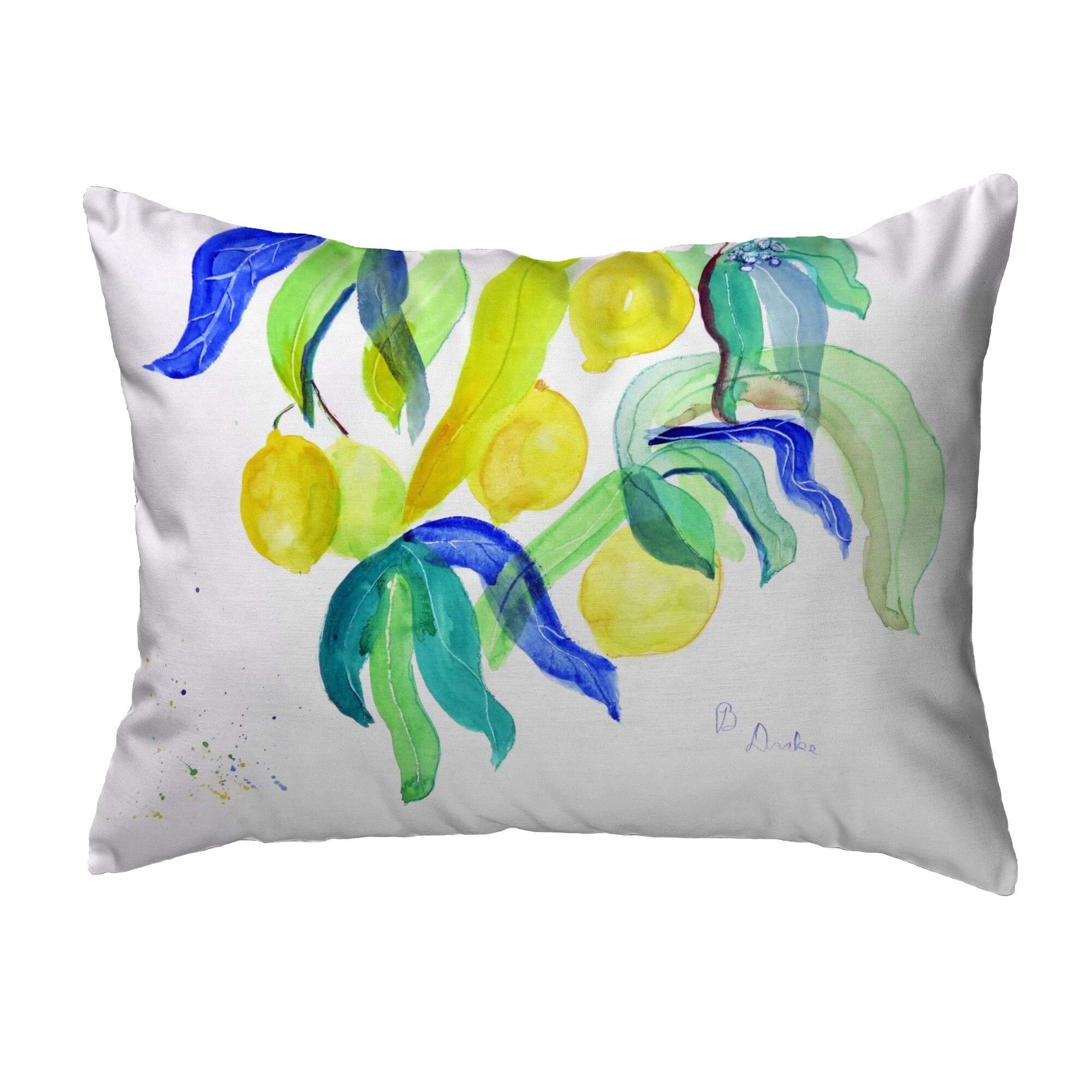 Betsy Drake KS1112 Decorative Throw Pillow 11x14 Inches - Soft Multi-Color Cushion for Sofa, Bed, Living Room & Home Decor