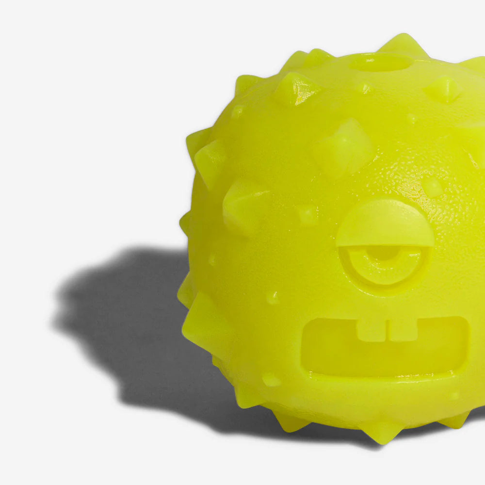 Rob The Microbe Interactive Dog Toss Toy by Zee.Dog - Fun Fetch & Chew Toy for Small & Medium Dogs, Perfect for Indoor & Outdoor Play