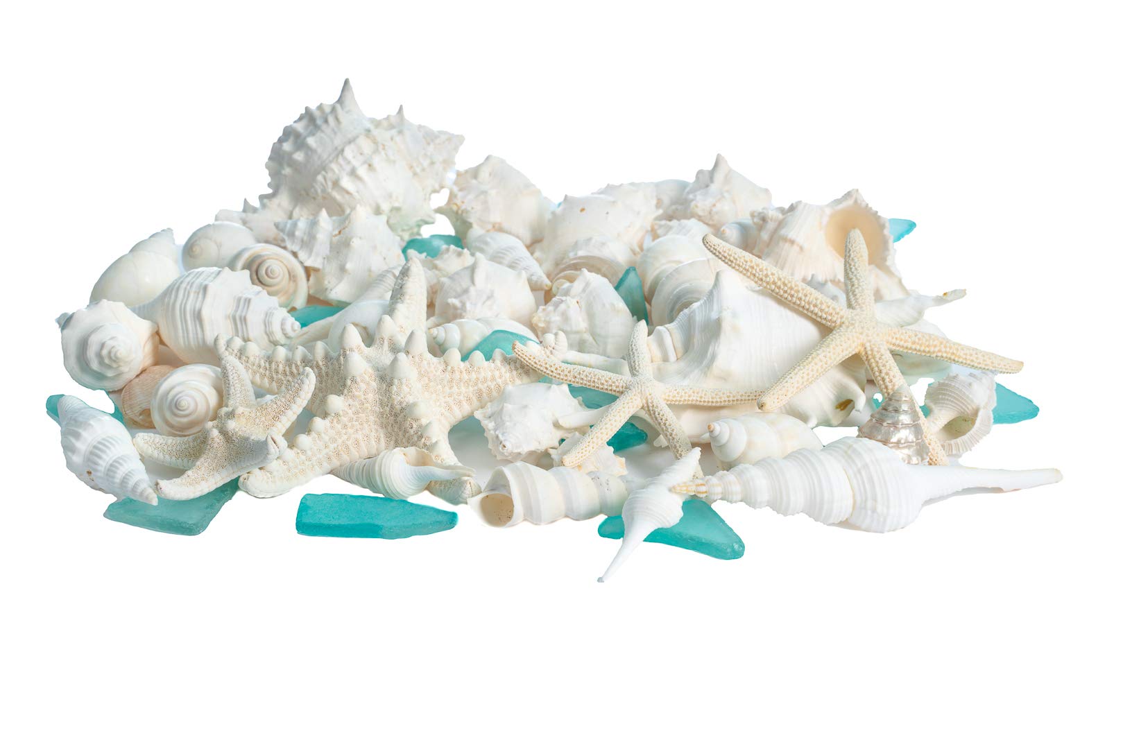 5lb Mixed White Real Beach Seashells with Starfish & Sea Glass - Natural Shells for DIY Crafts, Ocean Themed Decor, Beach Party Decorations - Perfect for Home Decor, Wedding Centerpieces, and Kids' Art Projects