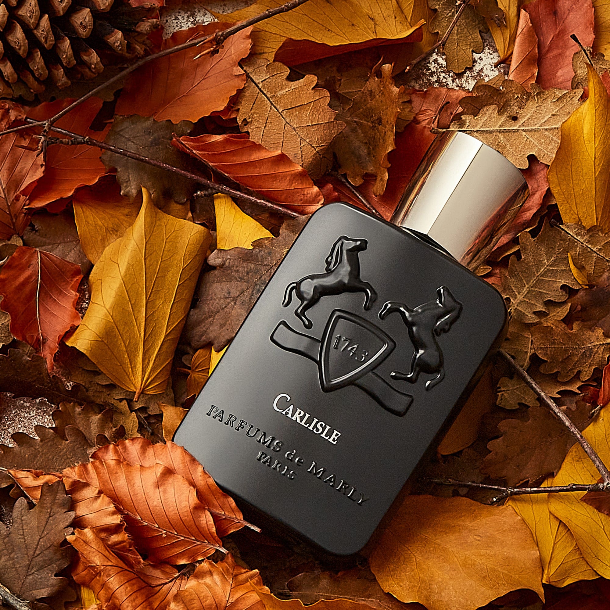 Carlisle Eau de Parfum - Luxury Perfume for Women & Men | Long-Lasting Fragrance | Perfect for Date Night, Office & Special Occasions