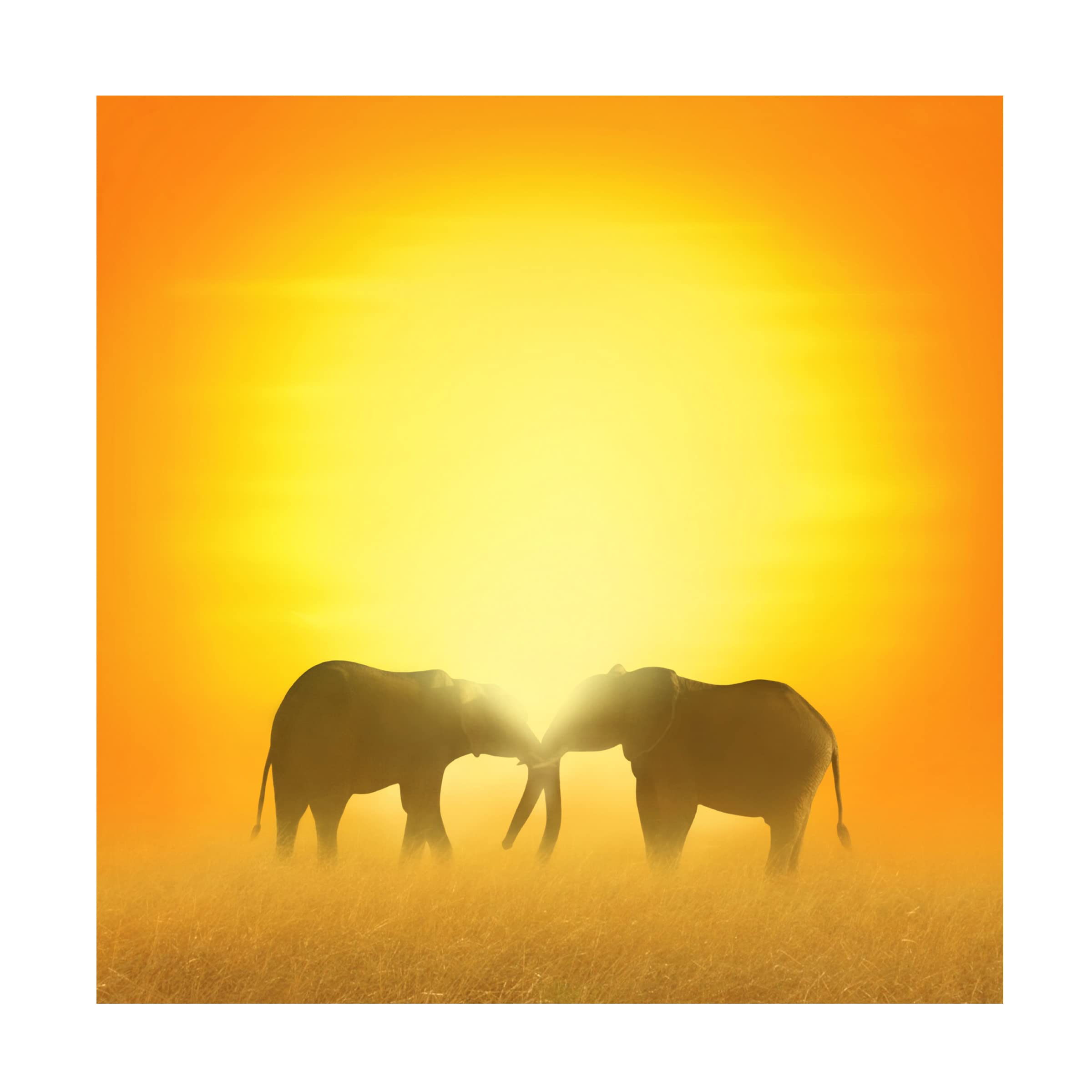 Ben Heine 'In Love' Canvas Art Print - Romantic Wall Decor for Bedroom, Living Room & Wedding Gifts | Trademark Fine Art Collection