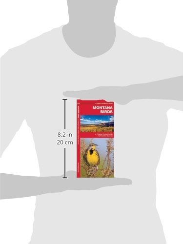Montana Birds Pocket Guide - Folding Field Guide to Common North American Bird Species for Birdwatching & Nature Observation | Perfect for Hiking, Camping & Outdoor Adventures