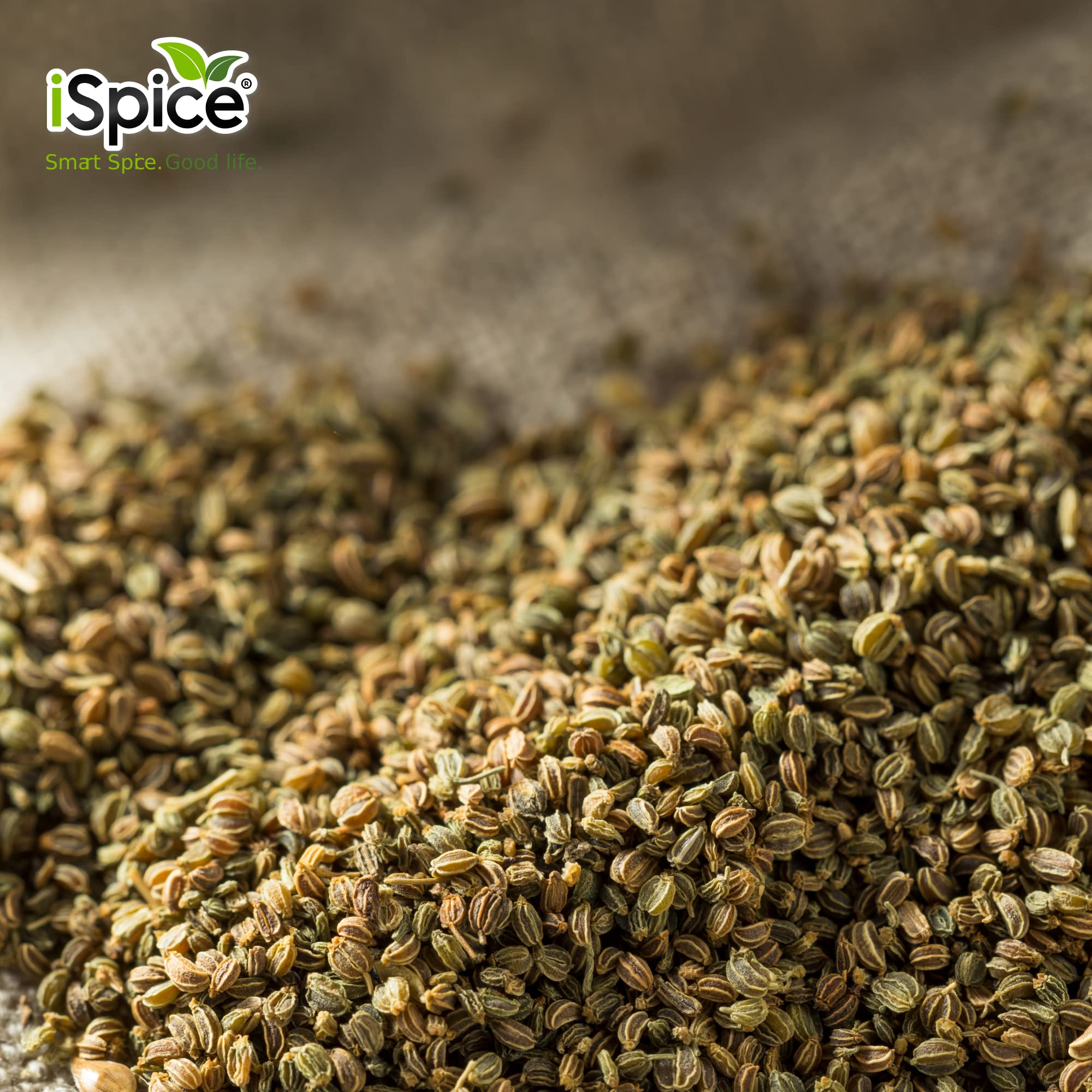 Organic Ground Celery Seed Powder 4.7oz (133g) - Pure, Natural Seasoning for Soups, Salads & Meat Rubs - iSpice Premium Spice Blend for Cooking & Baking