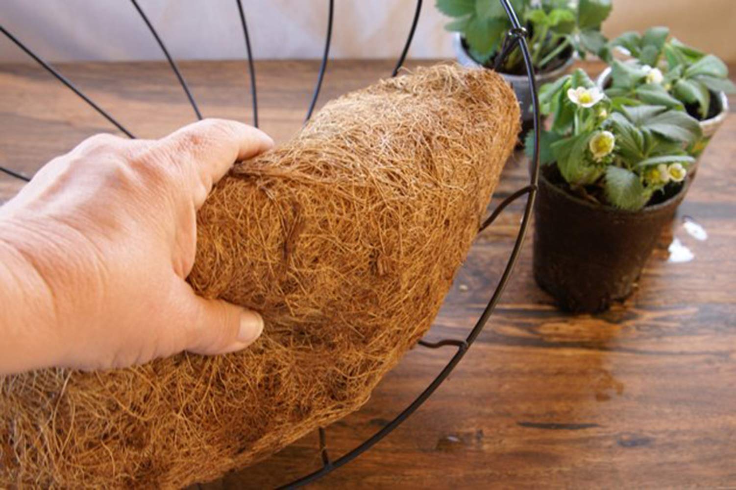 2PCS Half Round Coconut Fiber Liner for Hanging Baskets & Wall Planters - 10 Inch Eco-Friendly Coco Coir Basket Liner for Flowers, Herbs & Garden Decor - Perfect for Indoor/Outdoor Vertical Gardens & Balcony Planters