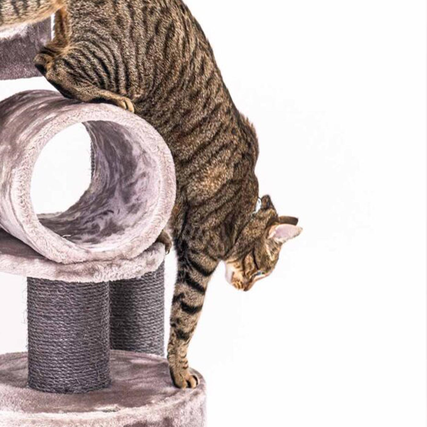 Kings & Queens Victoria 125cm Cat Tree - Premium Tall Cat Tower with Scratching Posts & Perches for Indoor Cats - Perfect for Play, Rest & Climbing in Home or Apartment