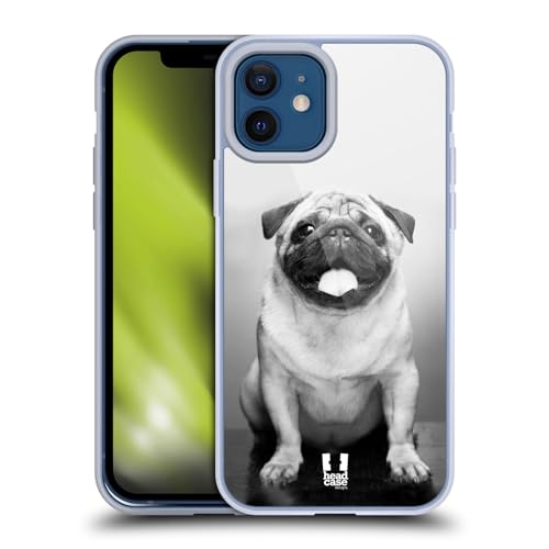 Cute Male Pug
