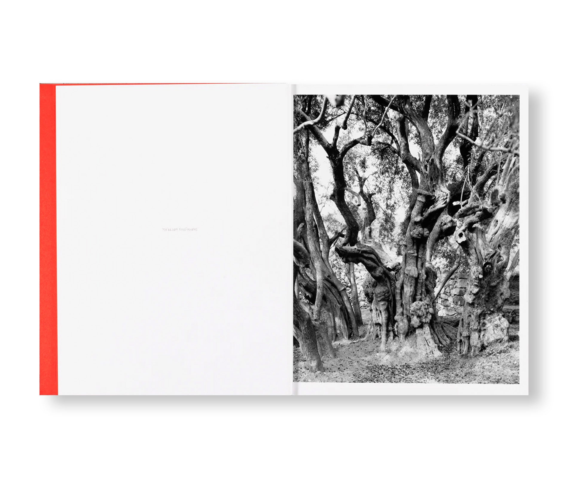 ANCHOR IN THE LANDSCAPE - Contemporary Art Photography Book by Adam Broomberg & Rafael Gonzalez | Perfect for Art Collectors, Photography Enthusiasts & Home Decor