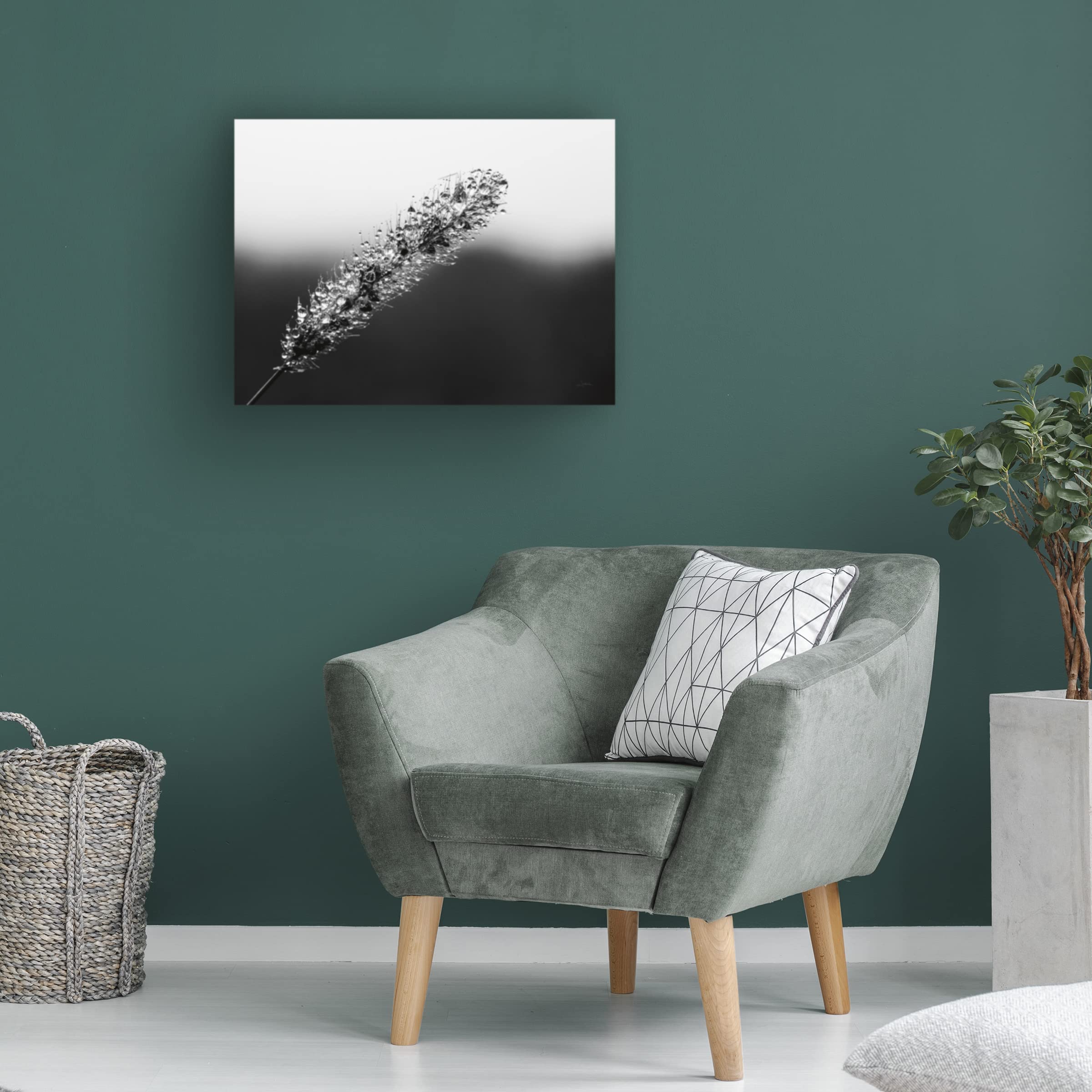 Trademark Fine Art 'Seeds and Water II' Canvas Wall Art by Aledanda - 24x32 Inches, Modern Home Decor for Living Room, Bedroom & Office