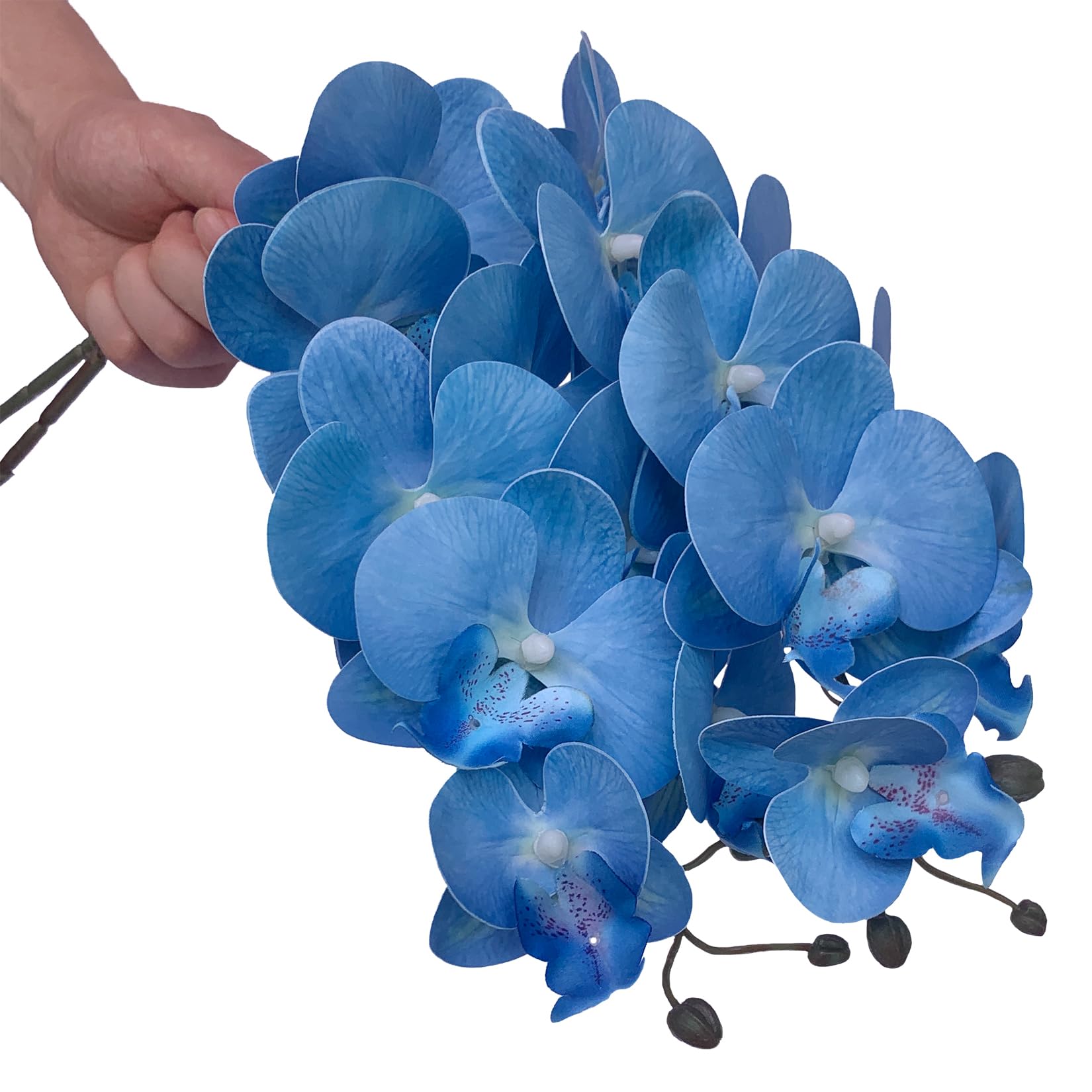 FagusHome 32 Inch Artificial Phalaenopsis Orchid Flowers - 6 Pack Blue Fake Orchid Stems for Home Decor, Wedding Centerpieces, Office & Table Arrangements