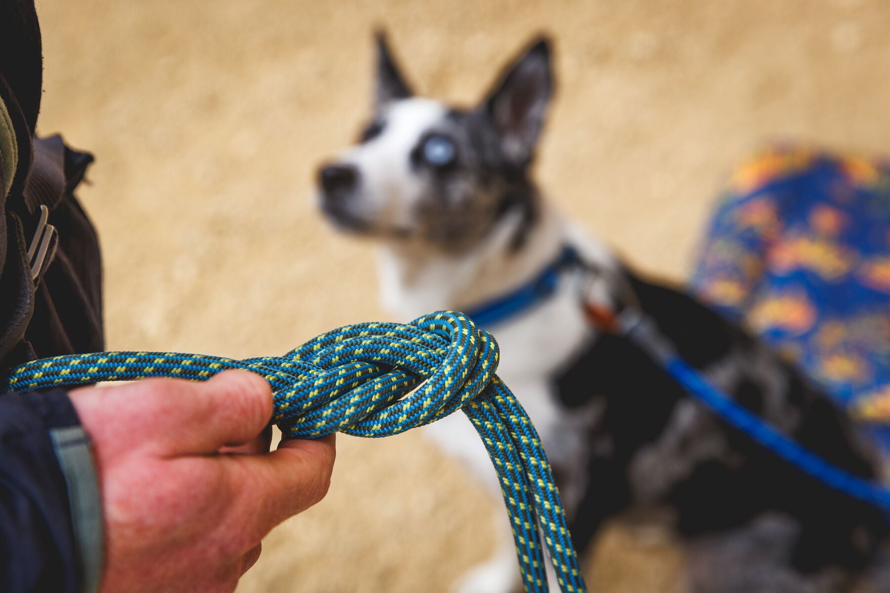 Ruffwear Knot-a-Leash Dog Leash - Obsidian Black | Adjustable Rope Leash for Medium & Large Dogs | Perfect for Hiking, Running & Outdoor Adventures