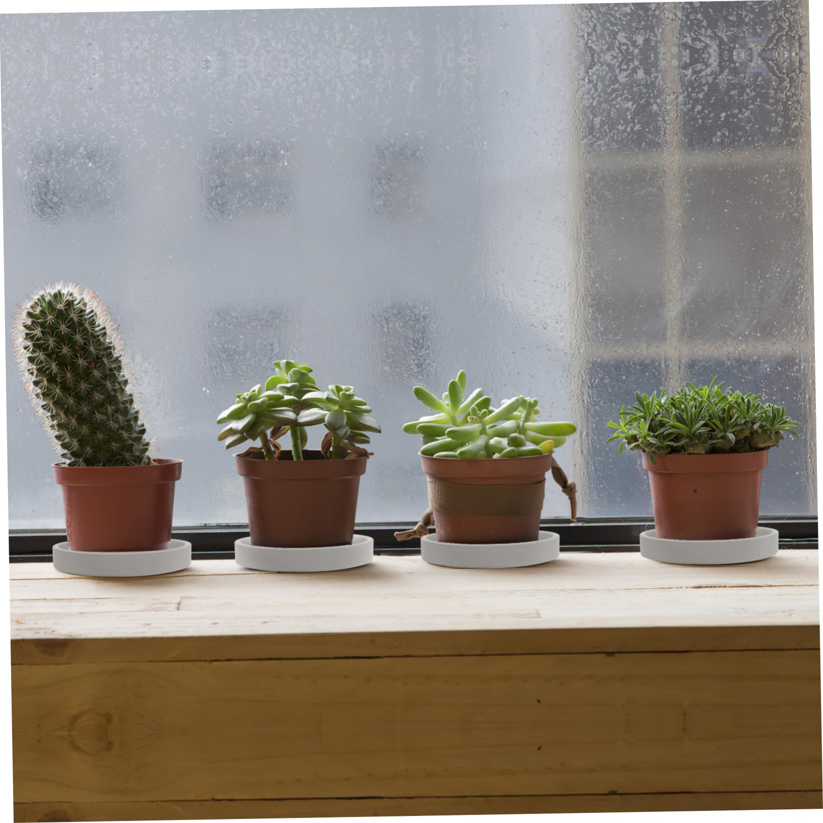 Cabilock 2-Pack Ceramic Plant Pot Trays - Round Indoor Flowerpot Saucers for Houseplants, Succulents, and Herbs | Perfect for Home Decor, Kitchen Countertops, and Balcony Gardening