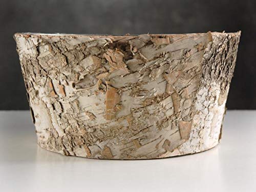 Natural Birch Bark Zinc Planter Pot 4x8 Inch - Rustic Home Decor for Indoor Plants, Succulents & Flowers - Perfect for Windowsills, Shelves & Tabletop Displays
