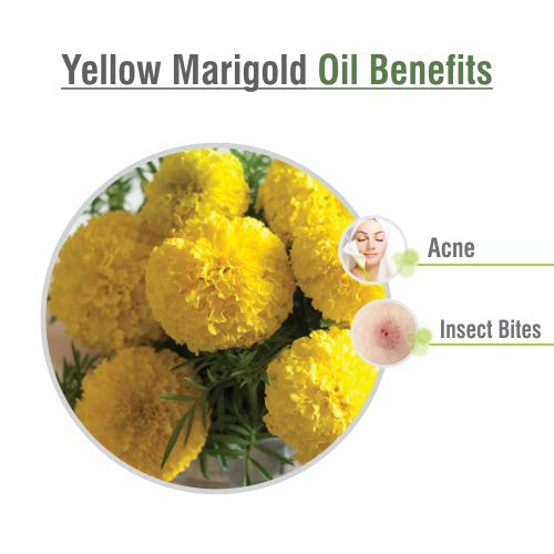 100% Pure Organic Marigold Essential Oil (Calendula officinalis) - Undiluted, Unrefined, Therapeutic Grade for Aromatherapy, Skincare & Massage - 2000ml/67.6fl oz Bulk Size - Perfect for DIY Beauty Products, Relaxation & Home Spa