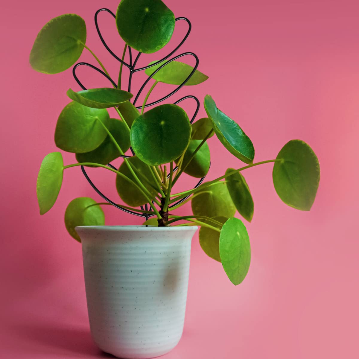2-Pack Indoor Plant Trellis - Small Metal Wire Garden Trellis for Climbing Plants, Leaf-Shaped Support for Potted Houseplants (Blackish Green) | Perfect for Monstera, Pothos & Ivy in Home, Office or Balcony Gardens