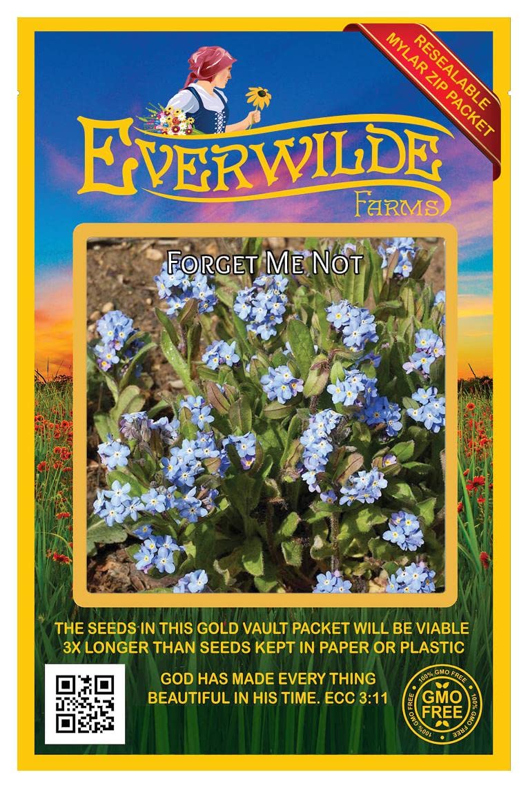 Everwilde Farms - 2000 Forget-Me-Not Wildflower Seeds - Premium Gold Vault Jumbo Seed Packet for Gardens, Bouquets & Landscaping