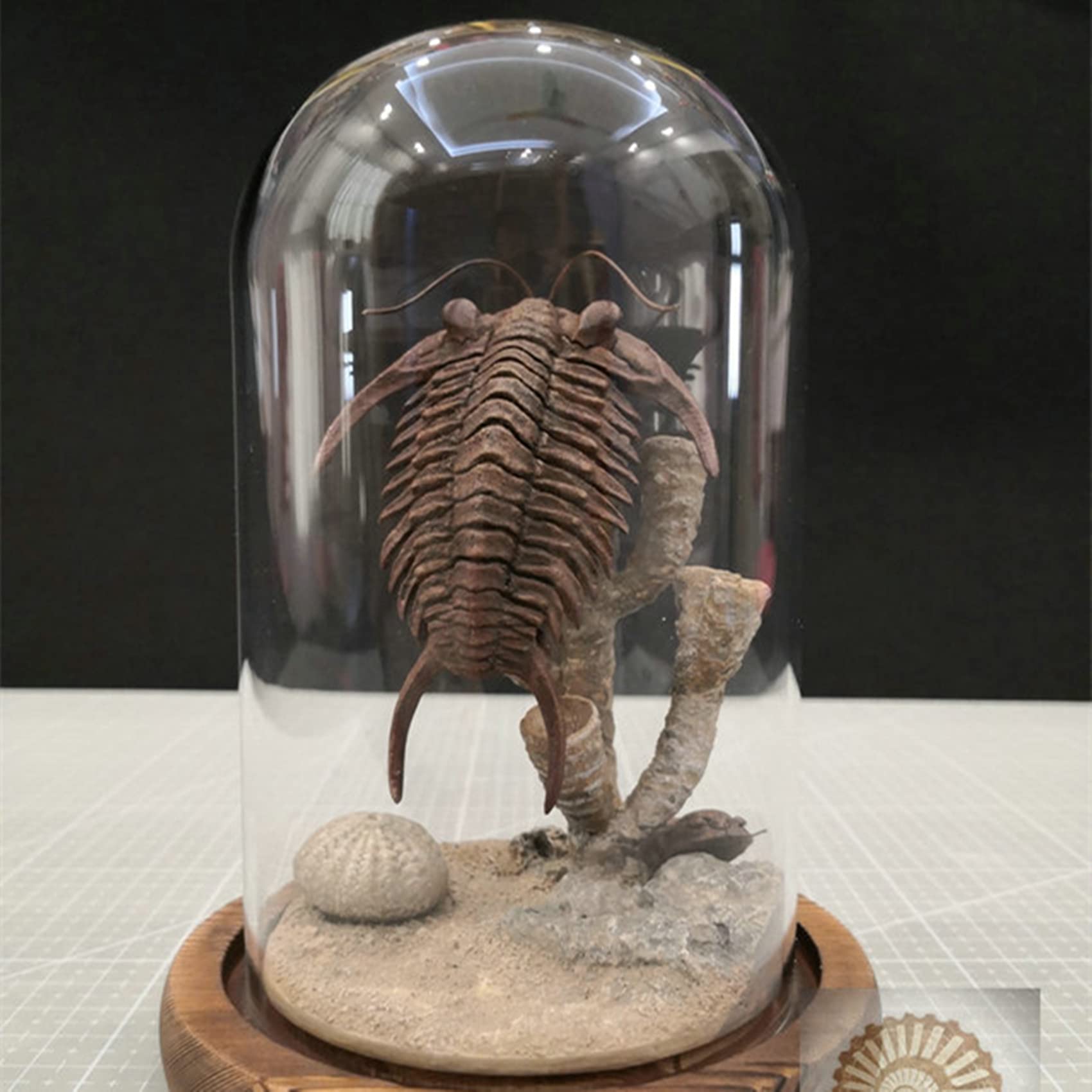 VWUVWU 1:1 Scale Trilobite Fossil Model - Realistic Arthropod Skeleton Figure, Resin Collector's Decor & Unique Gift for Adults - Perfect for Paleontology Enthusiasts, Home Office Display & Science Education