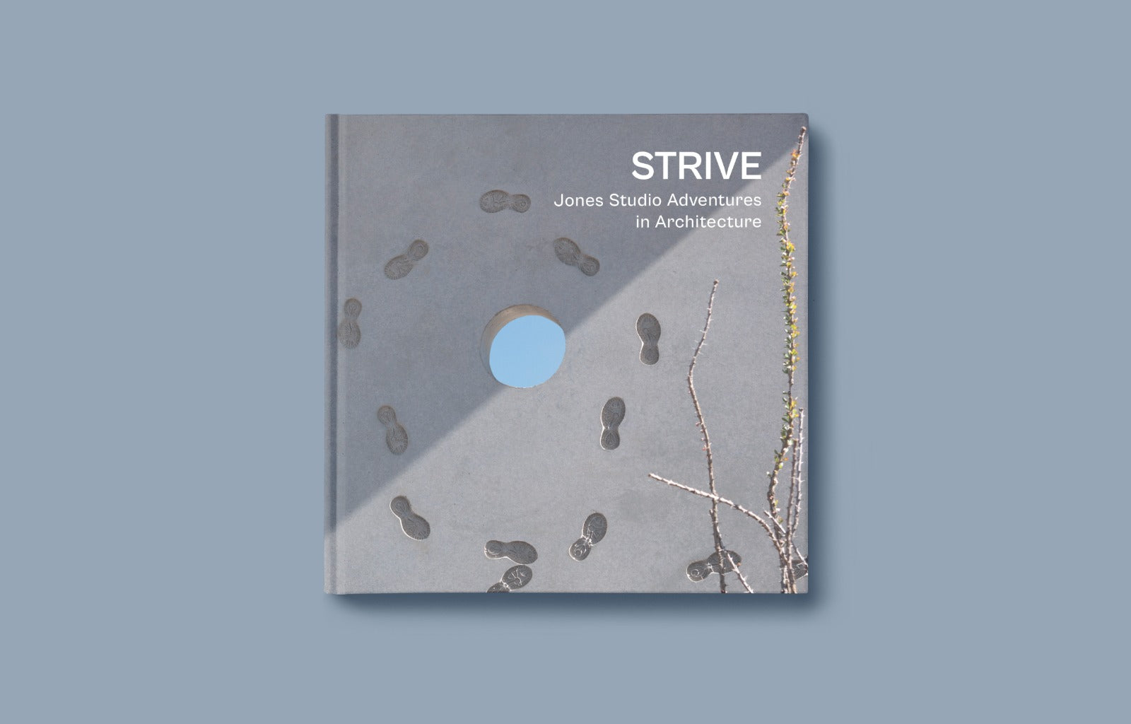 STRIVE: Jones Studio Adventures in Architecture - Modern Design Book for Architects & Students | Perfect for Creative Inspiration & Architecture Studies