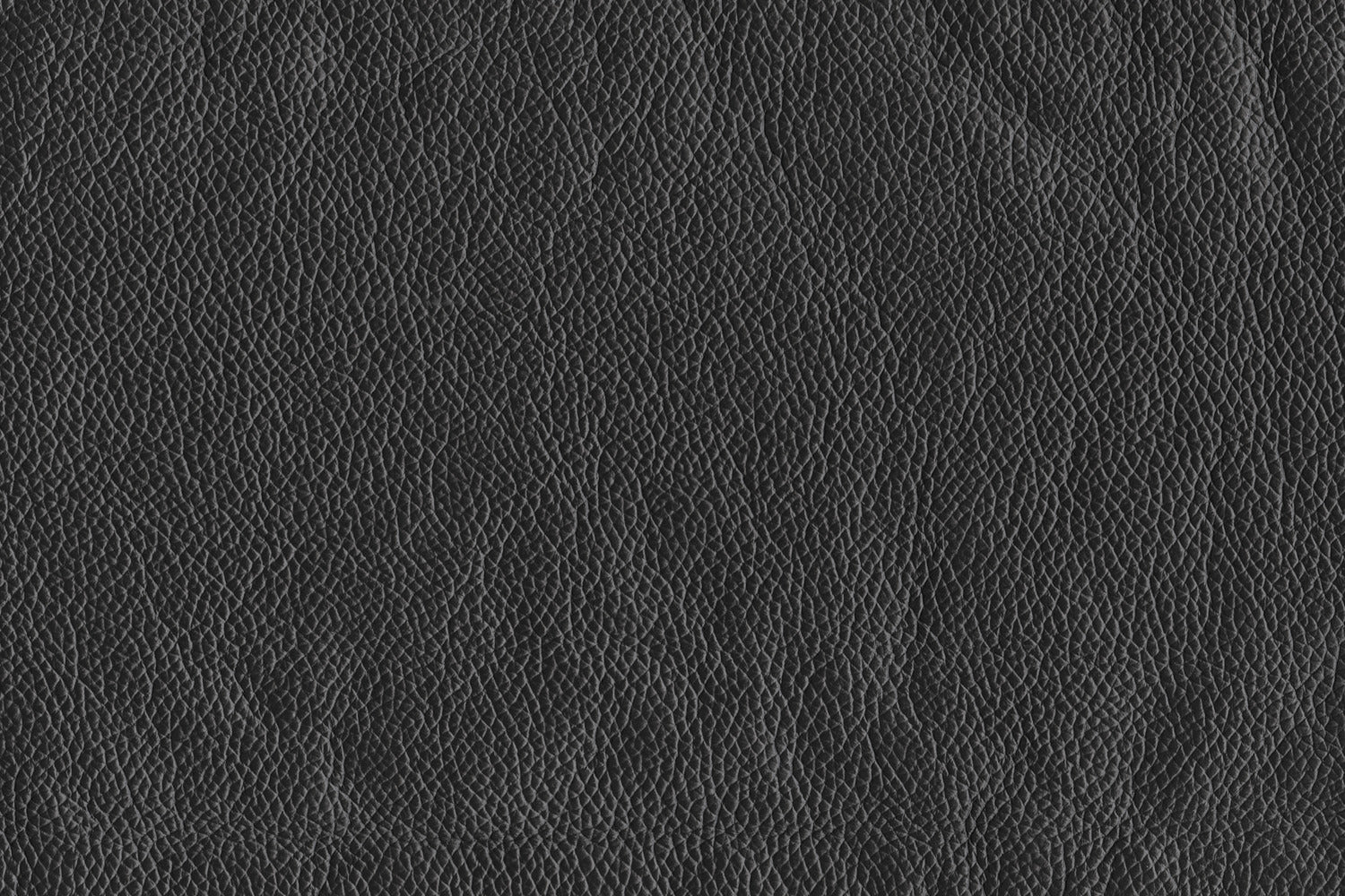 Braylon Leather Loveseat Sofa - Classic Black Faux Leather Small Couch for Living Room, Apartment & Office