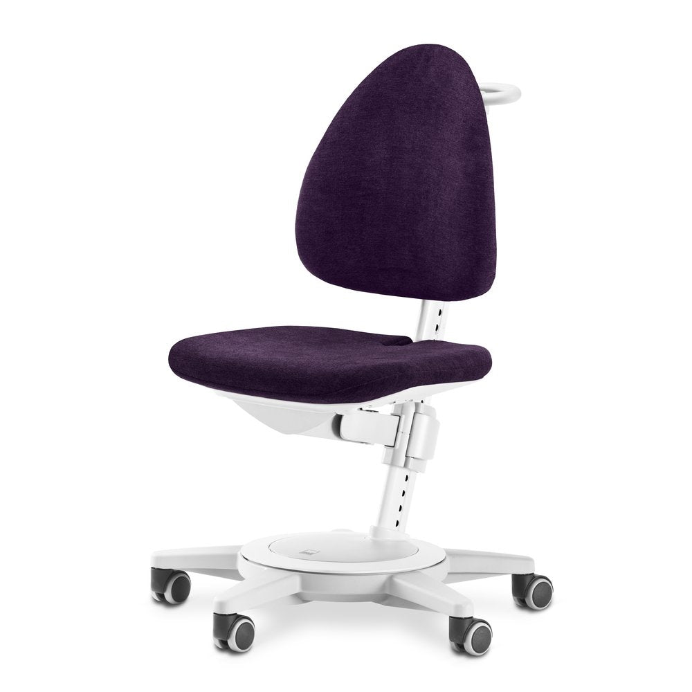 Moll Maximo Grey Trendy Office Chair - Ergonomic Desk Chair for Home & Work - Comfortable Computer Chair for Long Hours Sitting - Perfect for Office, Gaming, and Study Room
