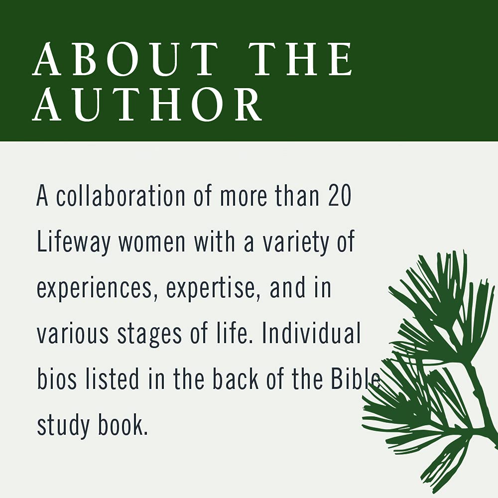 Bible Study Book: Celebrating Advent Promise for Christmas Devotion