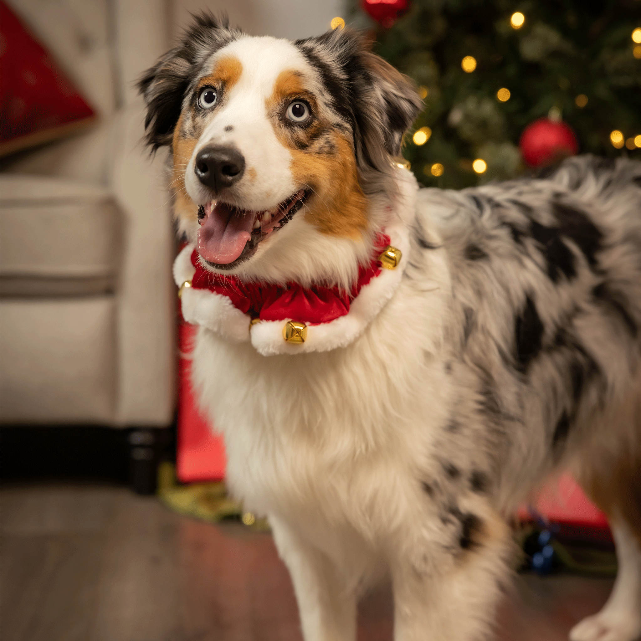 Huxley & Kent Ruff Red Santa Scrunchy Dog Bandana - Festive Christmas Pet Accessory for Small Medium Large Dogs - Perfect for Holiday Photos & Parties