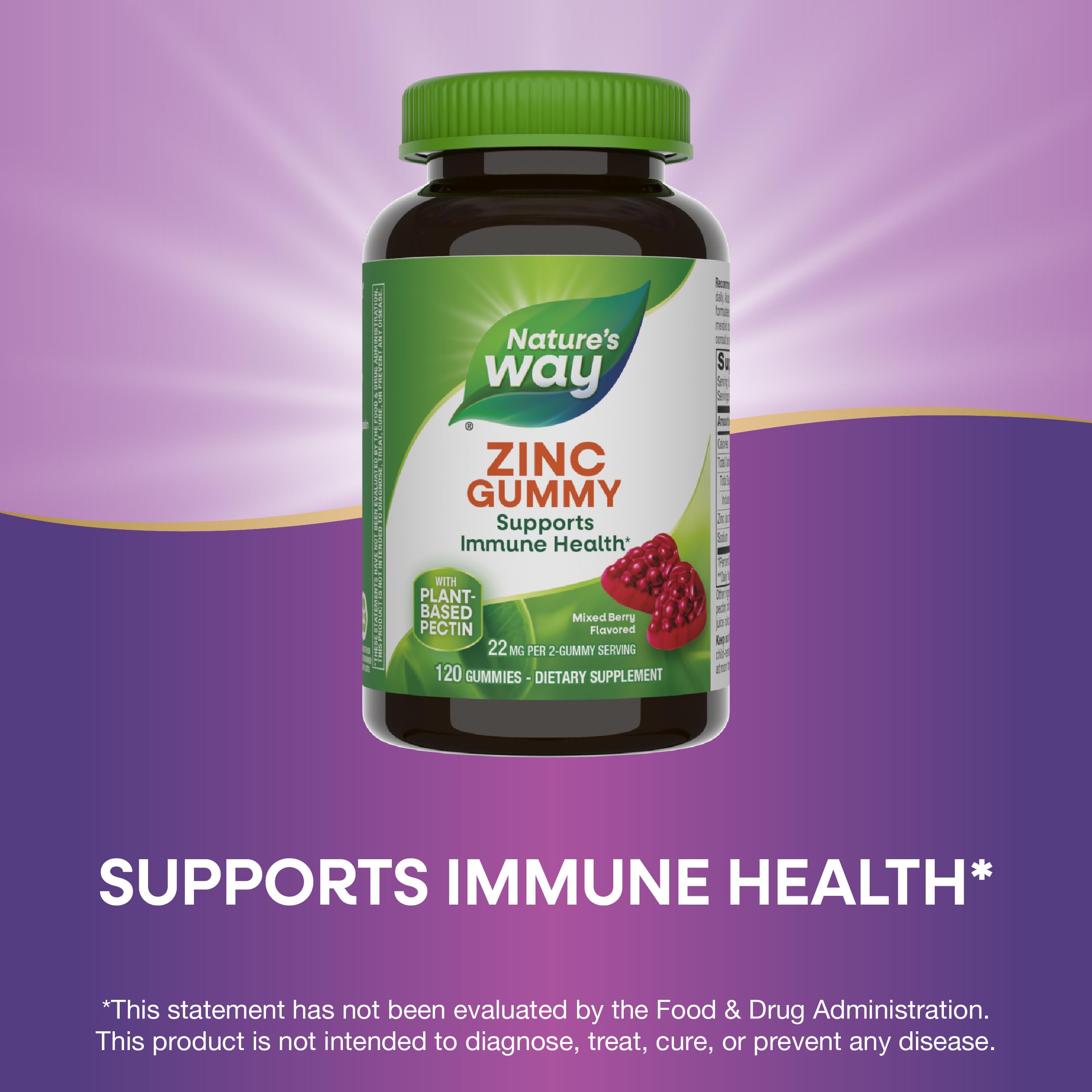 Nature's Way Zinc Gummies for Immune Support - 120 Mixed Berry Flavored Gummies with 100% Daily Zinc Value | Daily Immune Booster for Adults & Kids | Perfect for Cold Season & Year-Round Wellness