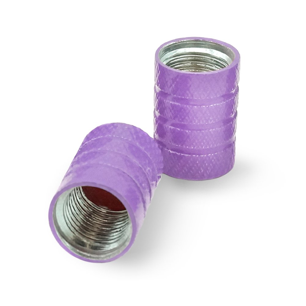 Stylish Aluminum Valve Stem Caps for Motorcycle & Bicycle Wheels - Cute Cactus Design with Pink Flowers - Perfect for Bike Accessories, Customization & Gift Ideas
